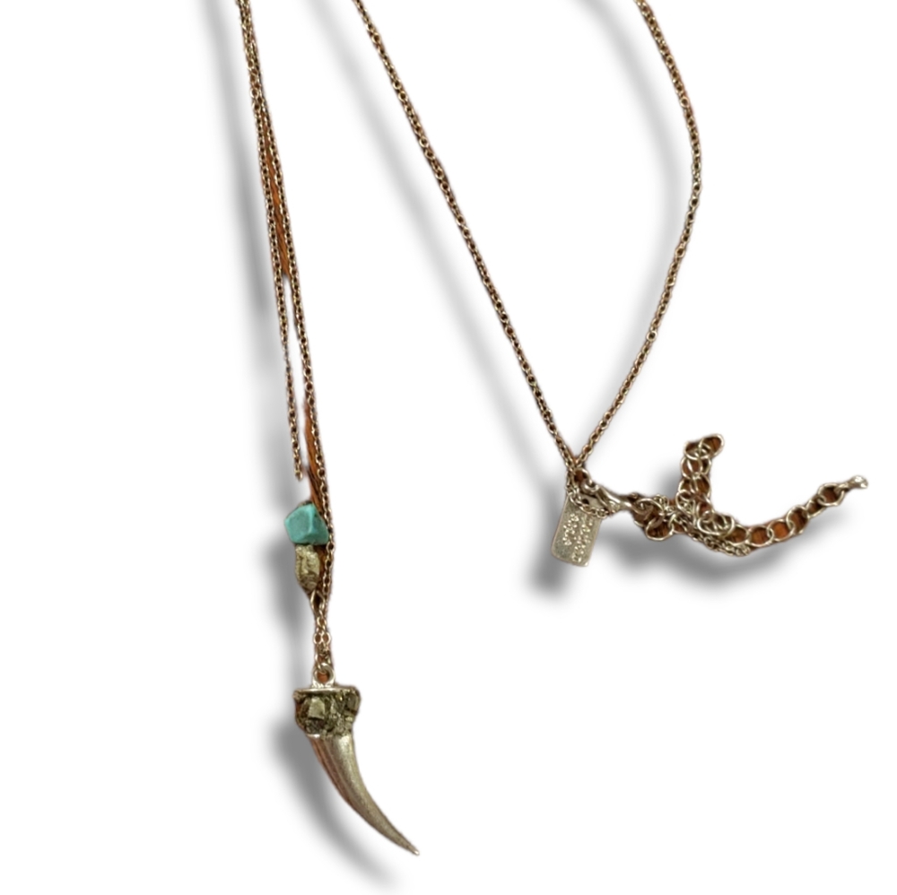 SOLD Bear Tooth and Turquoise Pendant Necklace - Picture 3 of 3